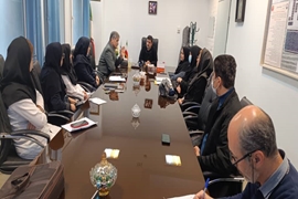 جلسه اعتبار بخشی آموزشی با حضور مسئول اعتبار بخشی معاونت آموزشی دانشگاه 